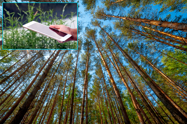 Мобилним телефоном из шуме СНИМАО ексхумацију покојника: Мушкарац кажњен због кршења полицијског часа, ШОКИРАО и органе реда